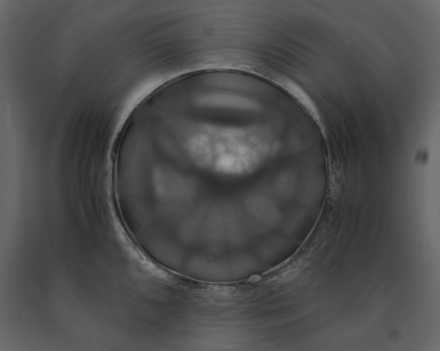 X0000091081096200708271231