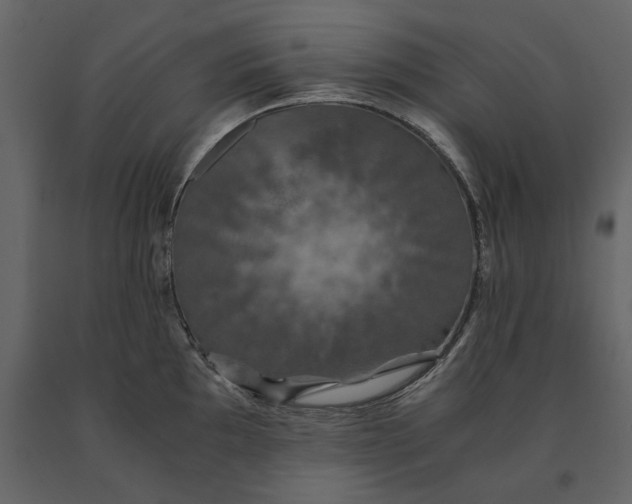 X0000091081097200708271231