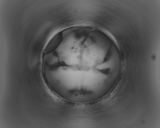 X0000091081099200708271231