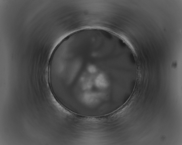 X0000091081100200708271231