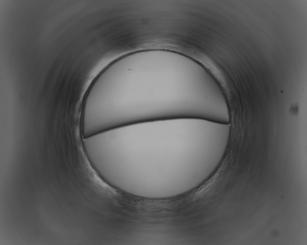 X0000091081102200708271231