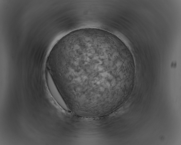 X0000091081104200708271231