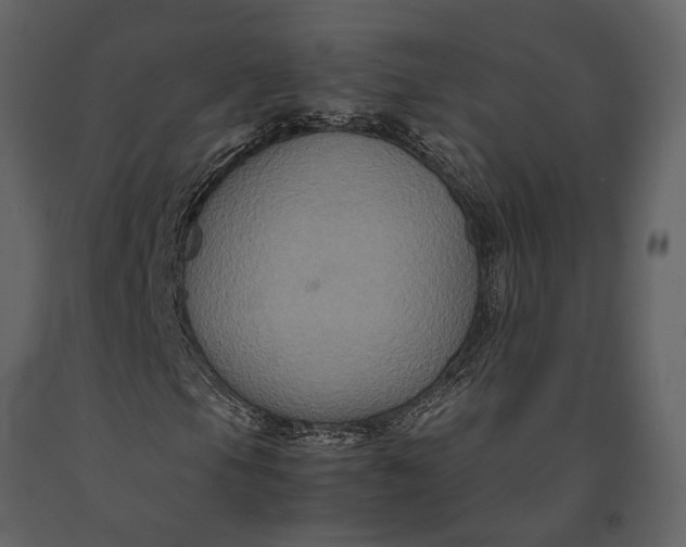 X0000091081105200708271230