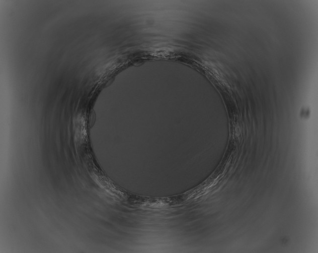 X0000091081106200708271230