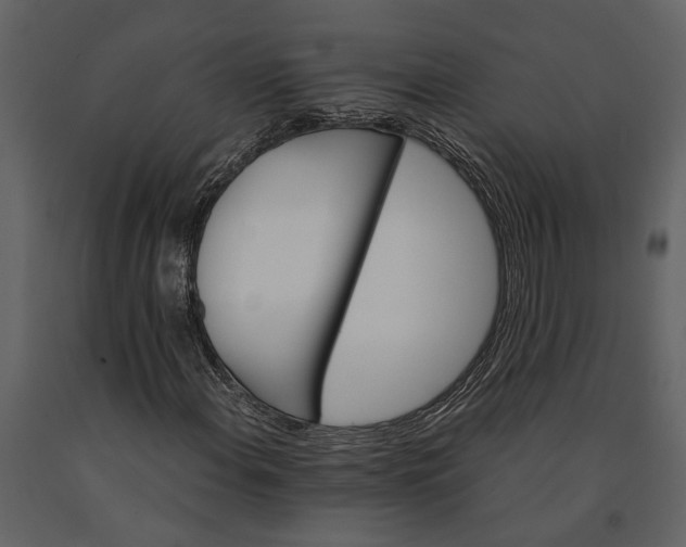 X0000091081108200708271230