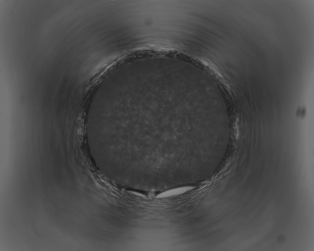 X0000091081110200708271230