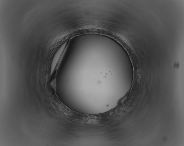 X0000091081111200708271230