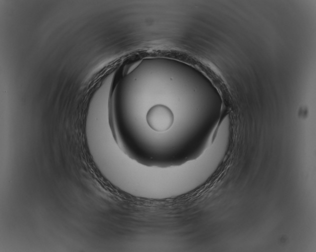 X0000091081112200708271230