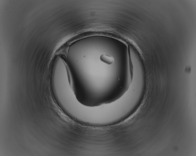 X0000091081114200708271230