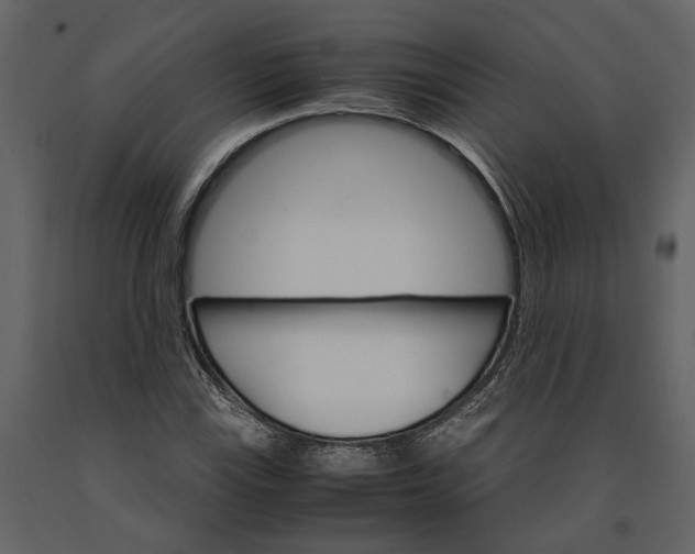 X0000091081115200708271230