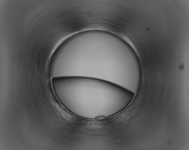 X0000091081116200708271230