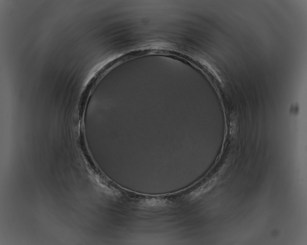 X0000091081117200708271230