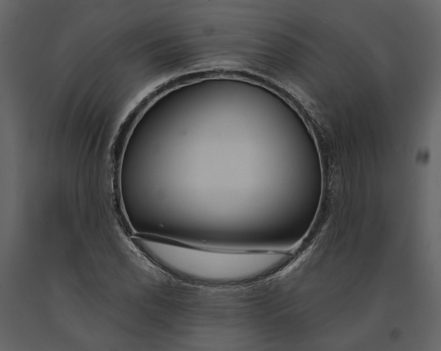 X0000091081118200708271230