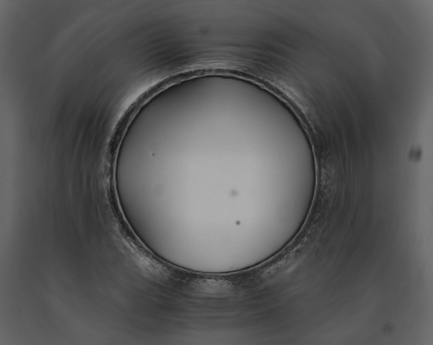 X0000091081119200708271230