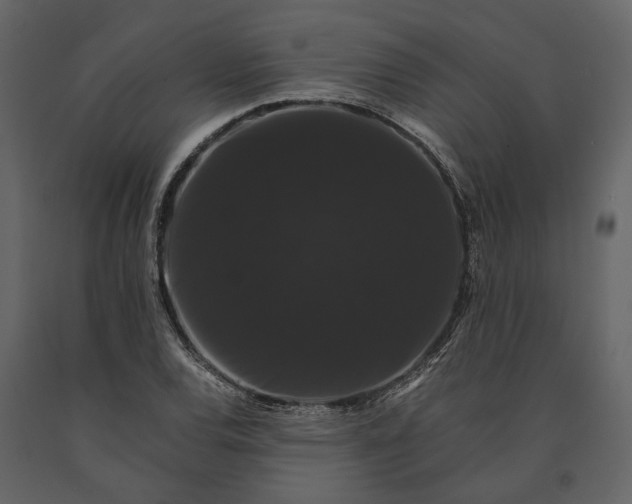 X0000091081120200708271230