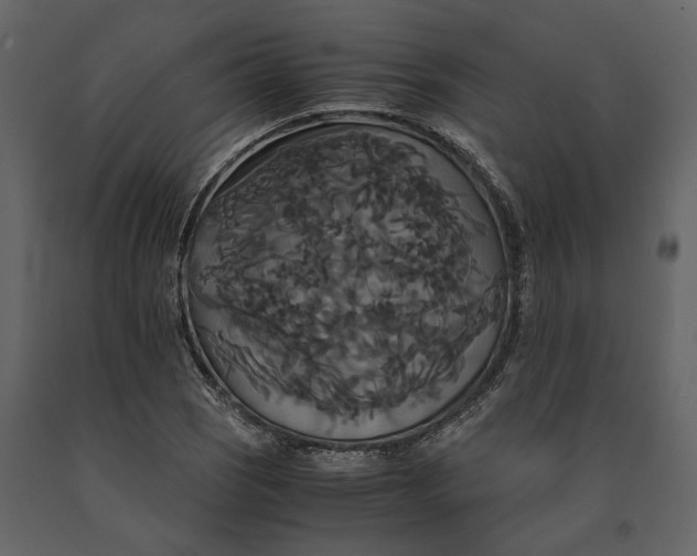 X0000091081121200708271230