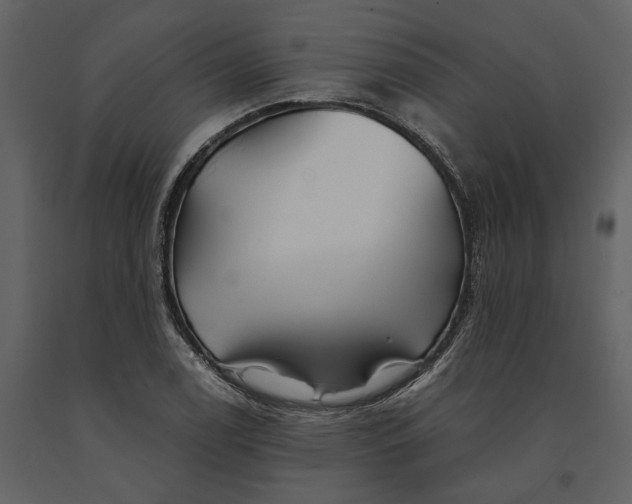 X0000091081122200708271230