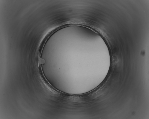 X0000091081123200708271231