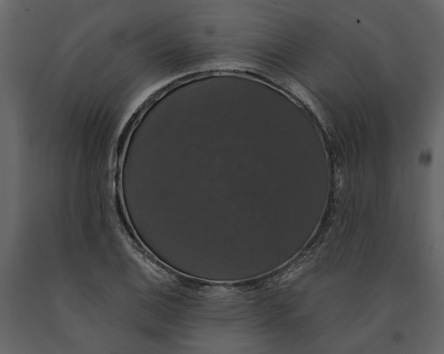 X0000091081124200708271231