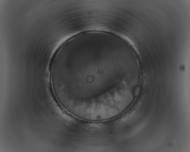 X0000091081125200708271231