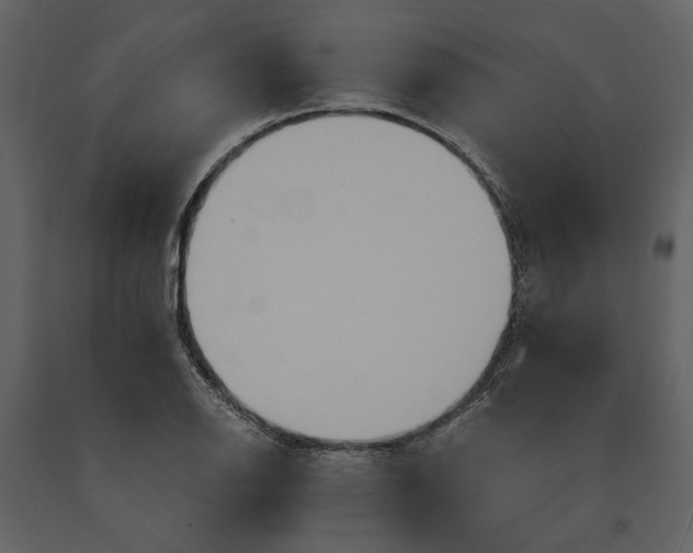 X0000091081126200708271231