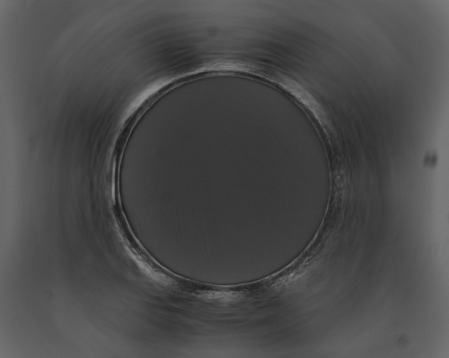 X0000091081127200708271231