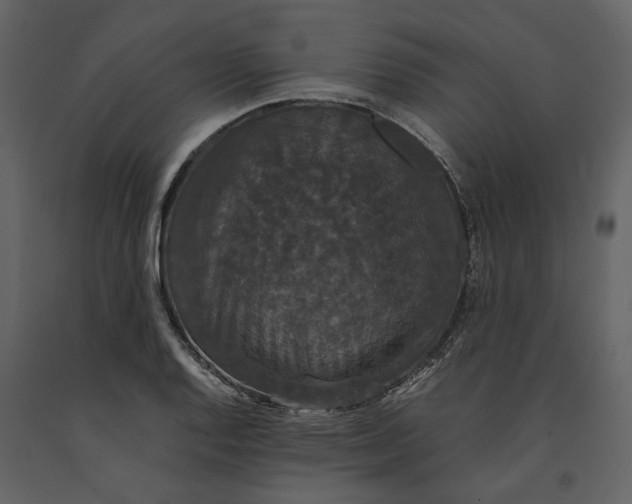 X0000091081128200708271231