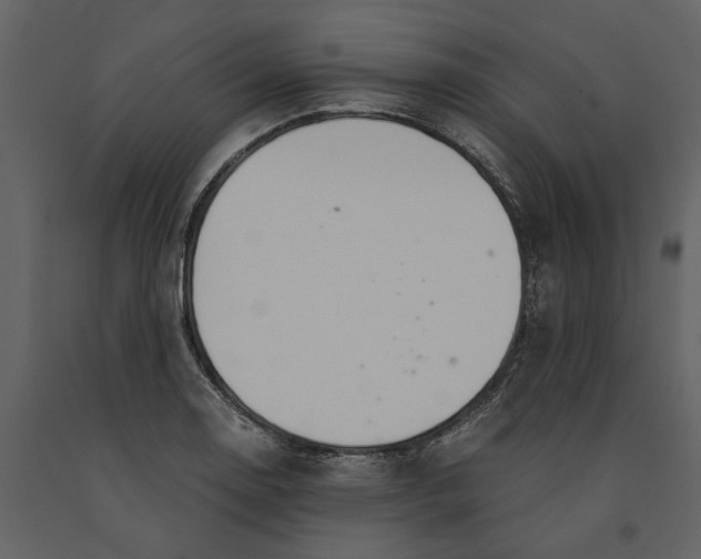 X0000091081130200708271231