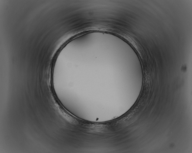 X0000091081131200708271231