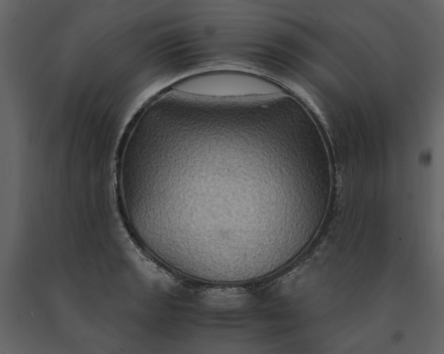 X0000091081133200708271231