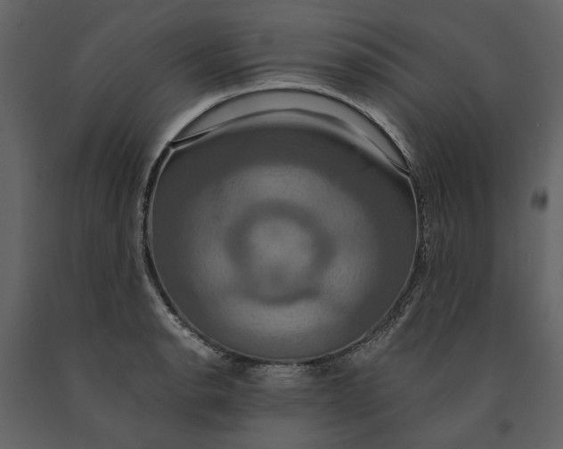 X0000091081134200708271231