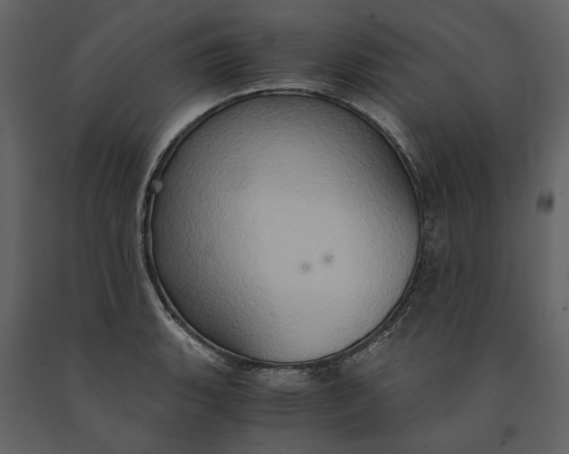 X0000091081135200708271231