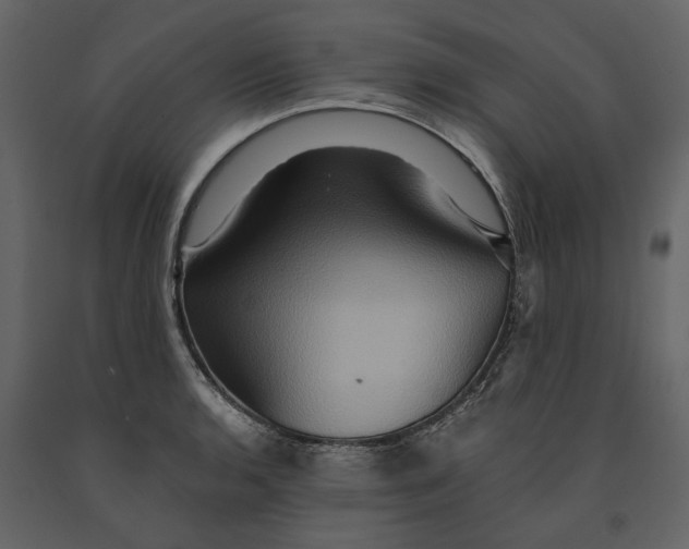 X0000091081136200708271231