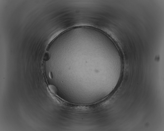 X0000091081137200708271231