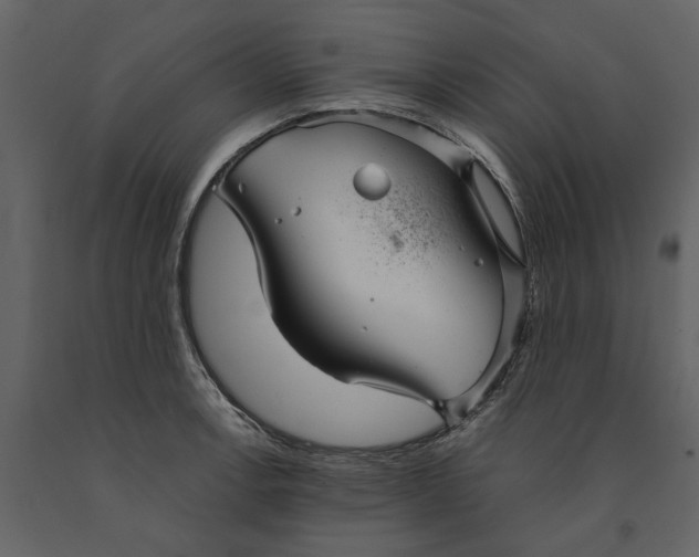 X0000091081138200708271231