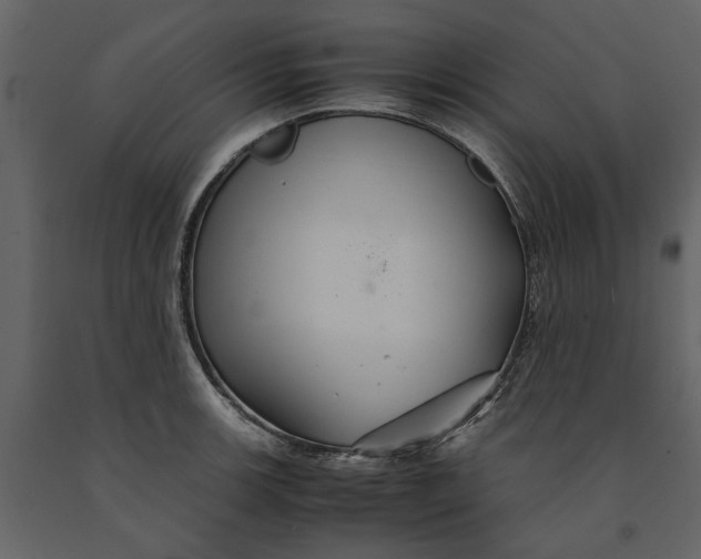 X0000091081139200708271231