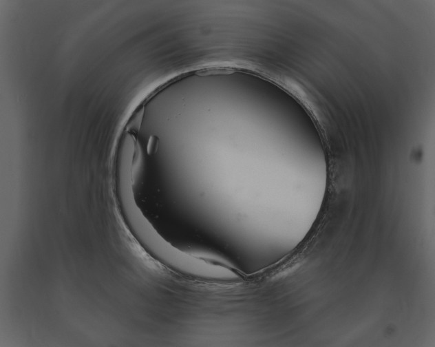 X0000091081140200708271231