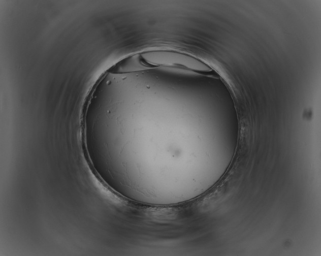 X0000091081143200708271231