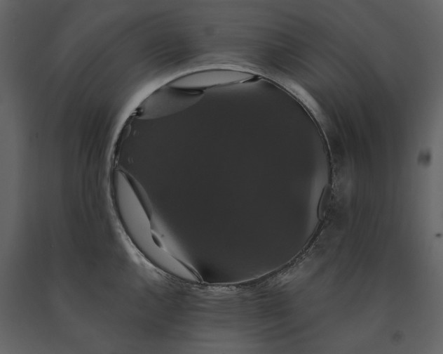 X0000091081144200708271231