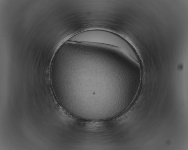 X0000091081145200708271231