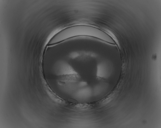 X0000091081146200708271231