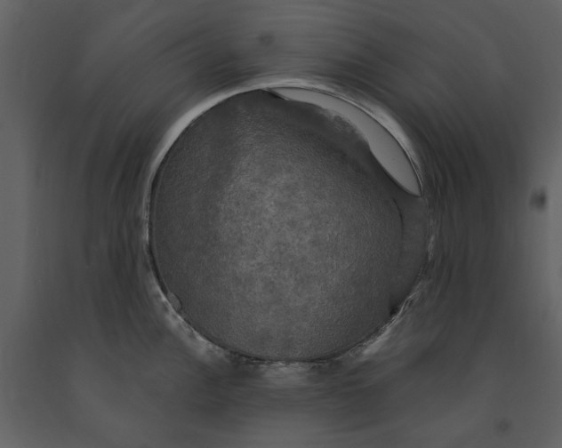 X0000091081148200708271231