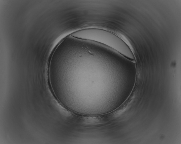 X0000091081149200708271231