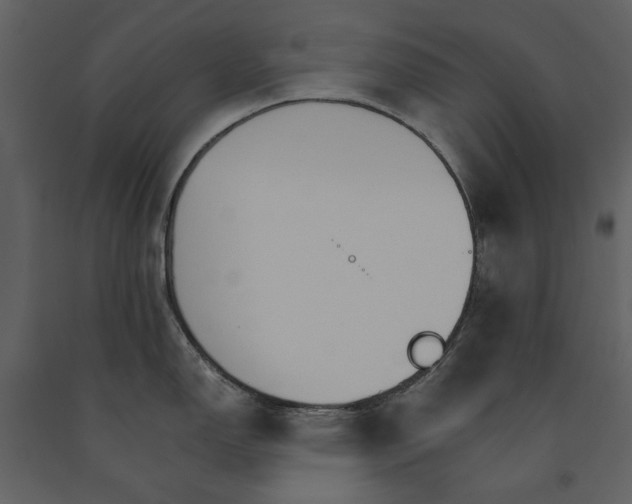 X0000091081150200708271231