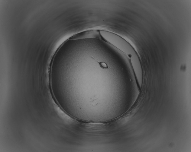 X0000091081151200708271231