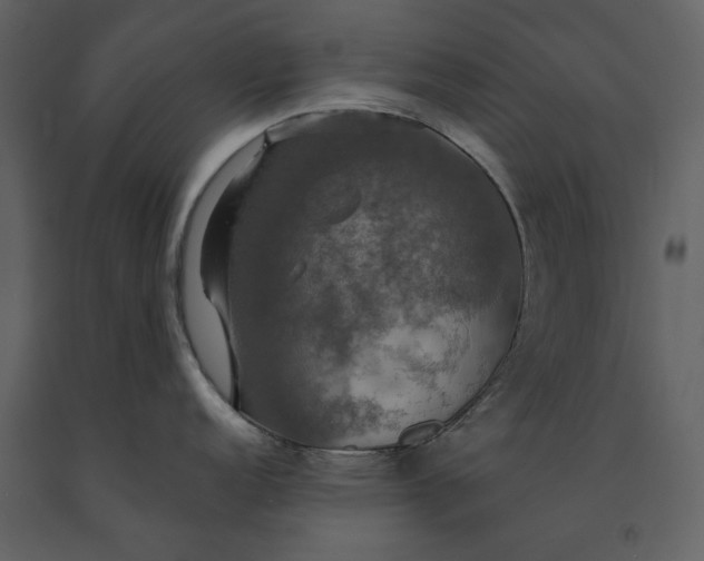 X0000091081152200708271231