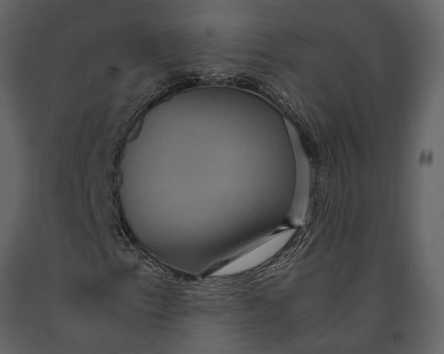 X0000091081153200708271230