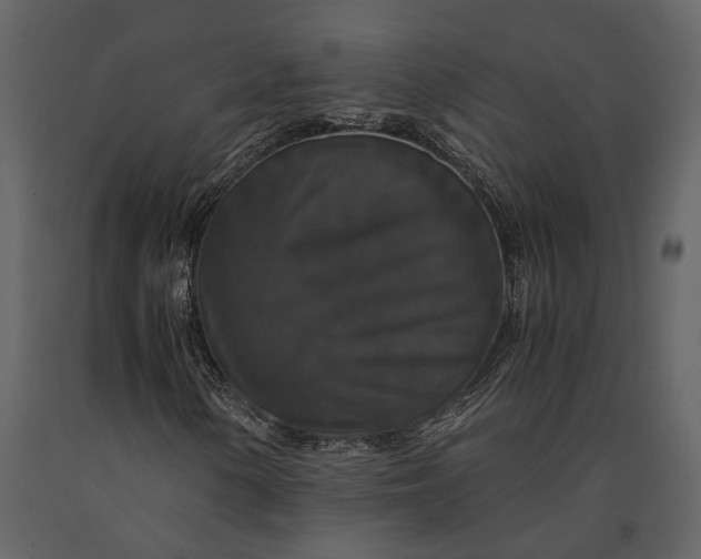 X0000091081154200708271230