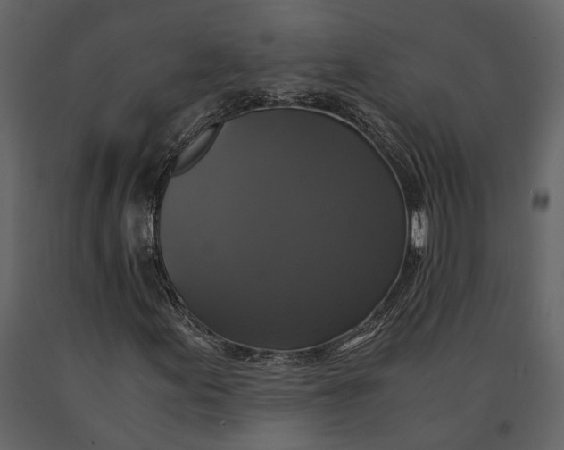 X0000091081155200708271230