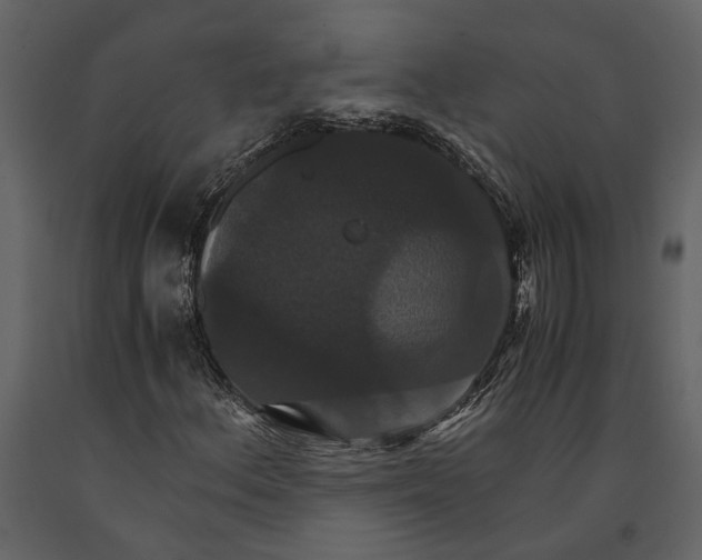 X0000091081156200708271230